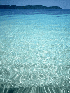 92148f4e.gif