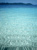 92148f4e.gif