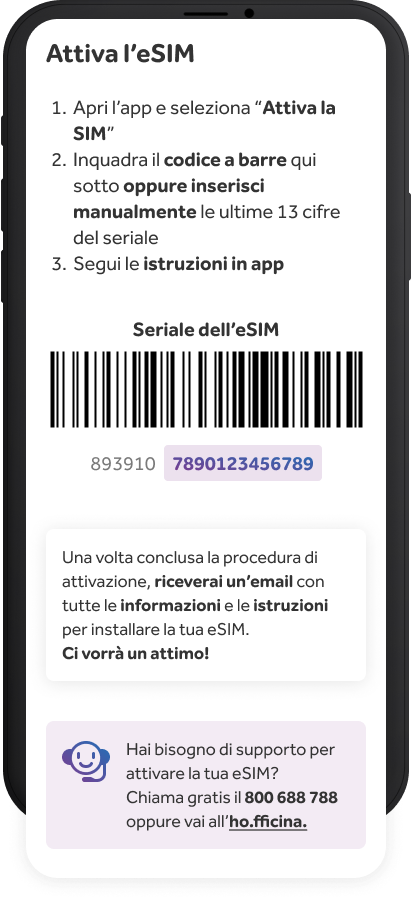 Email di conferma di acquisto online con il seriale della tua eSIM