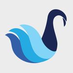 Swan-Icon.jpg
