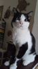IMG-20180623-WA0001.jpeg
